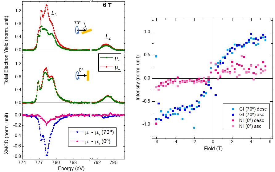 jacs ecija oliveira 2022(3)