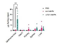 aptamer